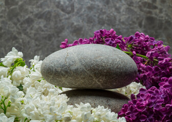 zen stones and flowers for product presentation.spa composition with stones and flowers for podium...