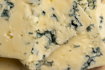 Cheese with blue mold cut into pieces