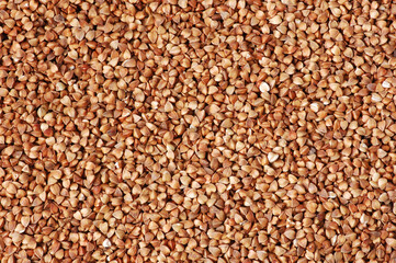 Buckwheat as an organic background