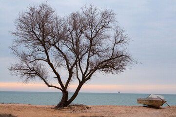 Cold season. The beach, the sea, a boat are necessary for nobody.