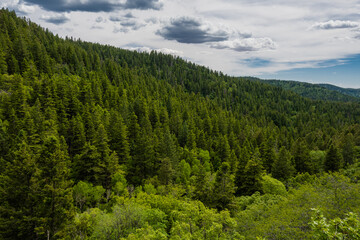 beautiful view of lincoln national forest