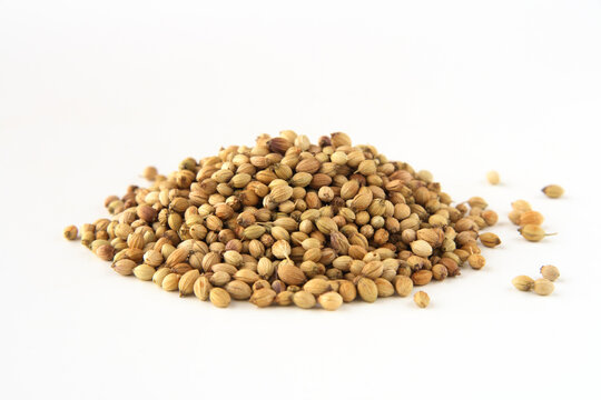 whole dhania coriander, isolated on white. Shallow depth of field, focused on the centre of the pile.