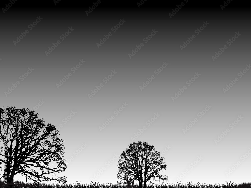 Poster an abstract nature background with trees and grass with a grey sky in silhouette