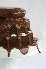 Tiered Chocolate Cake with vanllia filling and dripping chocolate topping and frosting