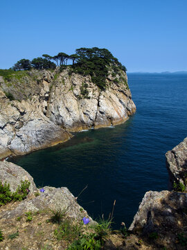 seaside korean pine islands cove blue sky water ocean coast