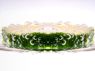 Slice of lime in glass of soda water