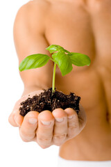 Muscular man holding small plant and soil in his hand. Isolated on white in studio.