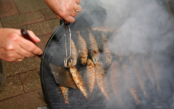 Picnic BBQ Snapper Fish During Summer Roast