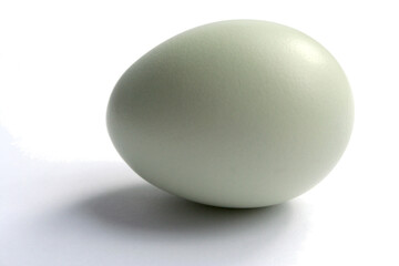 A green chicken egg