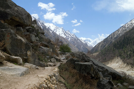 Footpath in the valley of Ganga river in Indian Himalayas. It leads to Gomukh glacier, source of Ganga.