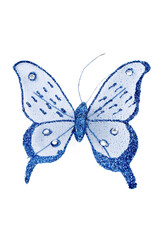 Fototapeta na wymiar Blue butterfly for your home decoration