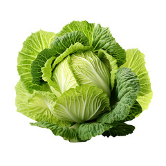 cabbage isolated on white background created with Generative AI