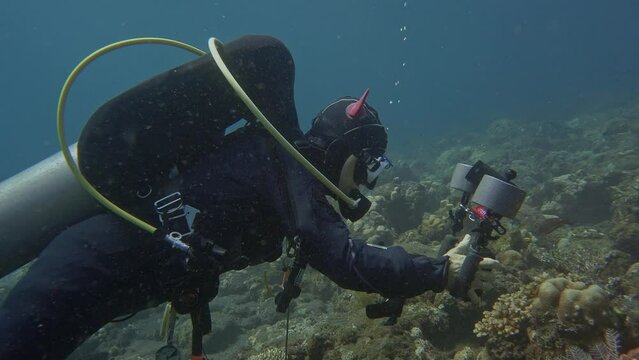 The scuba diver slowly swims near the seabed and takes pictures of the underwater inhabitants of the sea with an underwater camera.