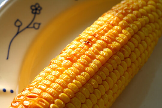 Plate of corn. Shallow DOF.
