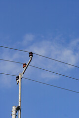 electric pole with wires