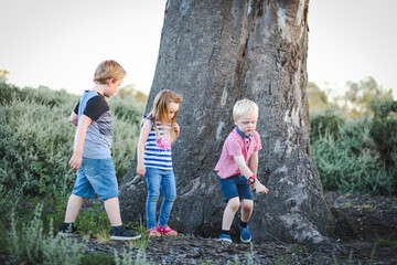 Children playing at the base of a large Australian gum tree at the park. Outdoor fun in nature