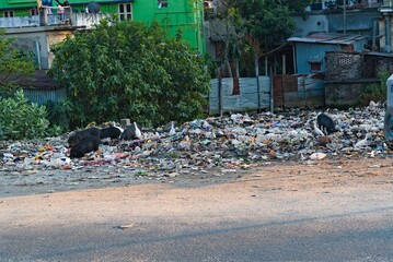 20..11.2022. West Bengal, India. waste disposal dumping ground place in India.