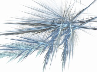 Obraz premium abstract fern background