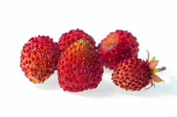 Close-up of wild strawberry