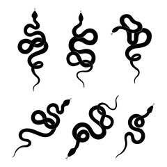 snake vector illustration