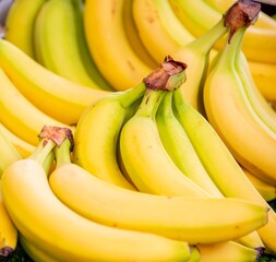 Bananas at the market display stall