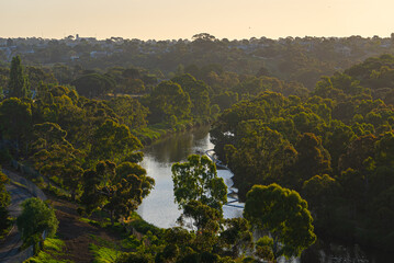 Maribyrnong River flowing between trees in Essendon West, Melbourne, Australia