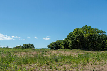 青空と草原