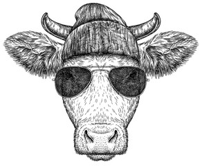 Vintage engraving isolated cow set glasses dressed fashion illustration ink sketch. Farm bull background beef animal silhouette sunglasses hipster hat art. Black and white hand drawn image