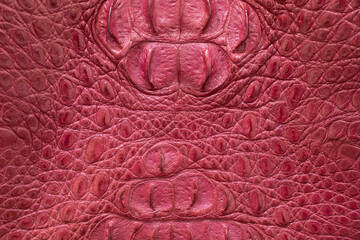 Genuine leather texture backgroundr close-up, embossed under the skin a reptile, red color print. Natural backdrop, copy space. Concept of shopping, manufacturing