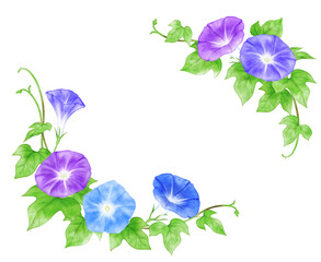 Purple and blue morning glory frame drawn with digital watercolor
