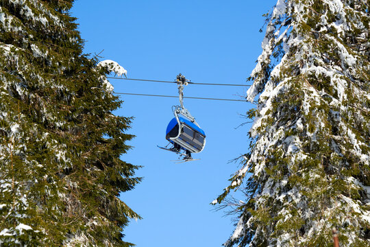 Chairlift operation in Black Forest. Blue gondola between green fir trees with snow. Ropeway transport for ski and snowboard riders. Germany, Feldberg.