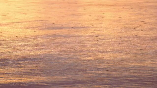 Rain drops falling in river ripple gold color water. 