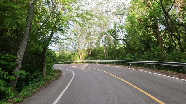 Car driving on the road along the forest. Tree tunnel road.