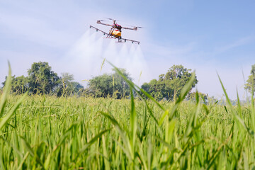 rice spraying drone agricultural technology.