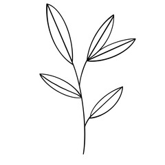 set of autumn leaves, Cute striped flower plants, for props, plants, flowers, ornamental grasses and decorations. Flower of roadside. 