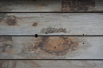 Naklejka premium Brown wood plank wall texture background. Termites eat wood.