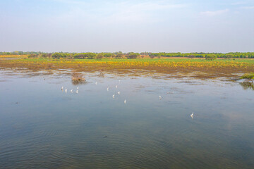 Kooram Lake, India
