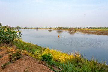Kooram Lake, India