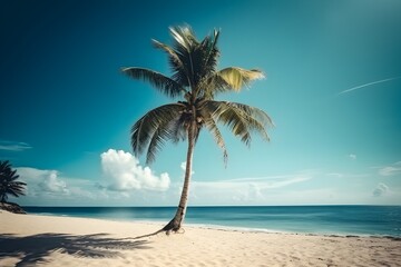 Coconut palm tree on the beach with sea and sky