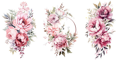 Peonies Watercolor Illustration Beautiful Isolated