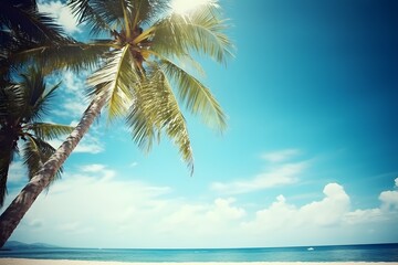 Fototapeta na wymiar Coconut palm tree on the beach with sea and sky