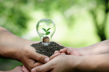 hands holding light bulbs and trees planted grow on the pile coin stack. .energy saving and Eco business investment. Renewable energy generation Green business. ESG and environmental investment