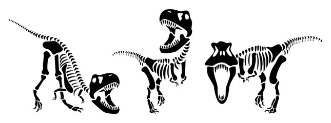 Tyrannosaurus Rex skeleton silhouette . Vector illustration . © stockdevil