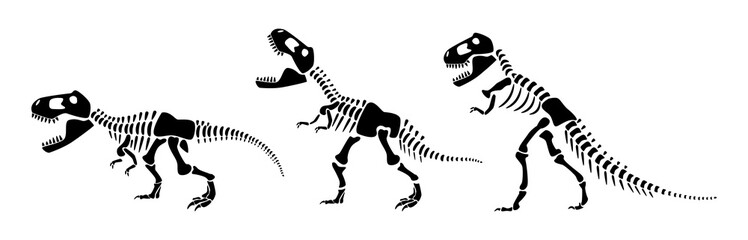 Tyrannosaurus Rex skeleton silhouette . Vector illustration . © stockdevil