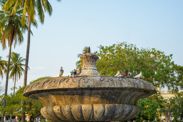 Pigeons on a fountain in a park. Blue sky in the background.