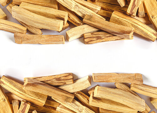 Palo santo holy sacred tree stick