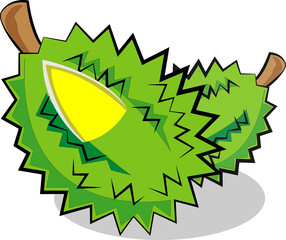 Durian, the King of Fruits in ASEAN