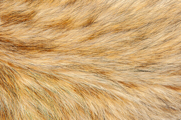 Beautiful spotted fur close-up. Texture of brown animal wool. Dog fur.