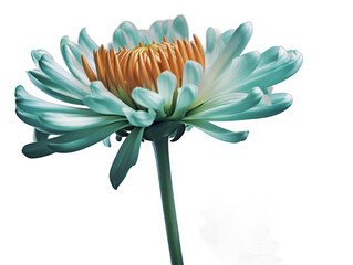 Isolated Beauty: A Single Flower with a Clear Edge on a Transparent Background. Generative AI