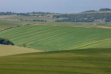 A green rolling landscape in the South Downs in Sussex